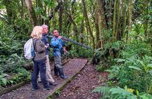 Poás Volcano & Rain Forest Day Tour