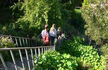 San Francisco Telegraph Hill & The Old Waterfront Tour