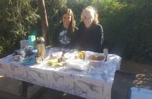 Full day big 5 addo Safari 