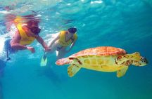 Riviera Maya Ultimate Adventure ATV's Snorkeling & Zip Lines 