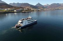 USHUAIA: Beagle Channel Navigation - Isla de los Lobos and Descent at Bridges Islands