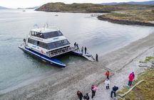 USHUAIA: Beagle Channel Navigation - Isla de los Lobos and Descent at Bridges Islands