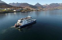 Ushuaia: Beagle Channel Navigation to the Penguin Colony
