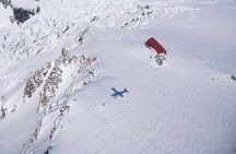45-Minute Glacier Highlights Ski Plane Tour from Mount Cook
