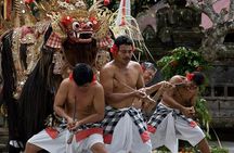 Kintamani Tour - Mount Batur - Art Village - Free WiFi