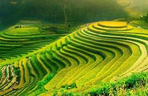 Sa Pa 2-Day Moderate Trek and Homestay Limousine Tour from Hanoi