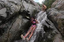 Half-Day Yunque Rainforest Waterslide & rope swing Guided Tour 