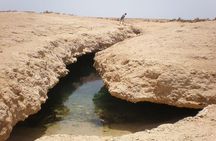 Ras Mohamed National Park Half Day Bus Trip From Sharm El Sheikh