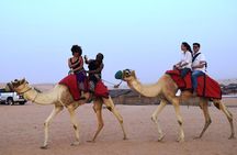 Premium Dubai Desert Safari with BBQ Dinner in the Red Dunes