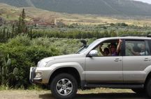 4 days trip: Fes to Marrakech with desert break 