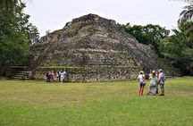 Chacchoben Mayan City and Mayan Experience Combo Tour