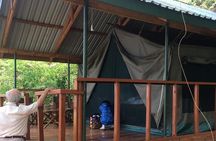 3 Days Chimpanzee Tracking-Gombe National Park