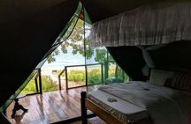 3 Days Chimpanzee Tracking-Gombe National Park