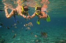 Tamarindo Kayaking Tour with Snorkeling at Captain Island