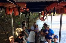  Wildlife Tour at Palo Verde National Park