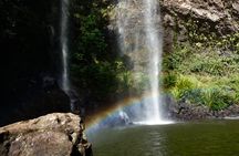 Rainforest & Waterfalls Experience