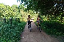 Silk Island Cycling Adventure & lunch with locals