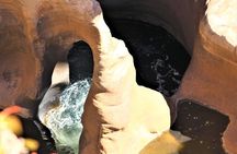 Full Day Panorama Guided Tour from Hazyview