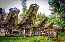 3 Days Tana Toraja from Makassar: Kete Kesu Village, Menhir to Funeral Burial