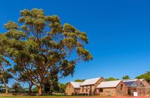 McLaren Vale and Glenelg Wine Tasting and Sightseeing (Half-day Afternoon)