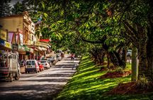 Fully Inclusive Blue Mountains Private Tour inc Scenic World & Featherdale Entry