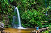 Chiang Mai - Exclusive Trek to Doi Suthep