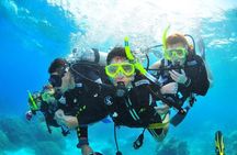 Diving (For Beginner diver) - Pattaya 