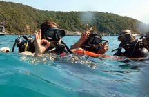 Diving (For Beginner diver) - Pattaya 