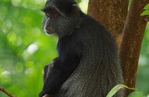 2 Day Private Safari in Ngorongoro Crater and Tarangire National Park