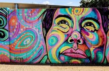 RoRo Street Art Tour in Phoenix