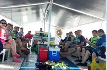 CEBU Island Hopping Tour to Nalusuan Island