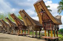 4 Days Toraja Cultural Tour from Makassar: Tongkonan Houses to Toraja Funerals