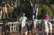 2h – Horse Trail