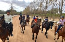 2h – Horse Trail