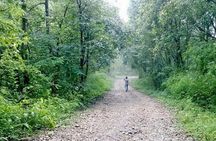 Phulchoki bird-watching tour
