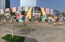 Private Tour: Explore Rio creating your own Itinerary