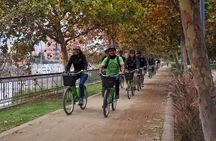 Santiago Highlights, Parks and Politics Bike Tour