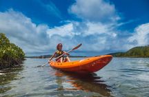 Kosi Bay Mouth Experience - Kayaking, Snorkeling, Fish Trap Tour and Fish braai