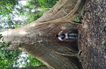 Regional Cruise in the Amazon