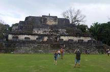 Altun Ha Mayan Site tour from Belize City