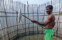 Kosi Bay Mouth Experience - Kayaking, Snorkeling, Fish Trap Tour and Fish braai