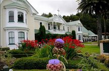 Small group - Napier, Wine, Beer & Cider Tour - 5.0 - 5.5 hours 
