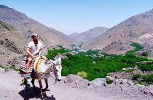 Agafay Desert Day Trip From Marrakech & Camel Ride
