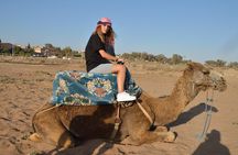 Sunset camel ride in Agadir with transport, tea and cakes.