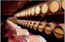 Premium Half-Day Hawke's Bay Winery Tour 