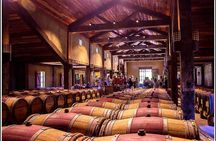Premium Half-Day Hawke's Bay Winery Tour 