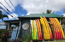 Midday Meander - Kealakekua Bay Kayak and Snorkel Adventure