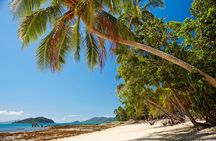 Private Daintree Wanderer Tour