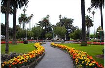  Napier sight seeing / Art Deco Tour -2- 2.5 hours