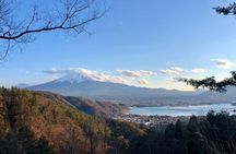 Mt Fuji Area Private Guided Tours in English-Nature up close, quiet, personal